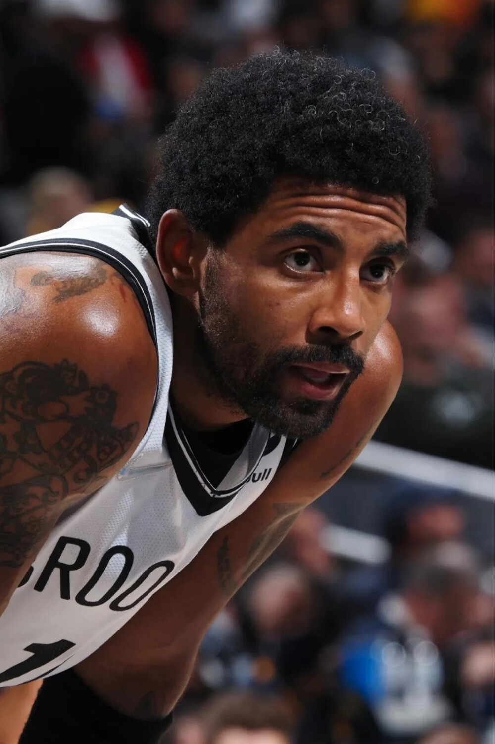 德约科维奇 德约科维奇