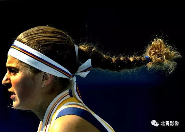 培养的成果 培养的成果