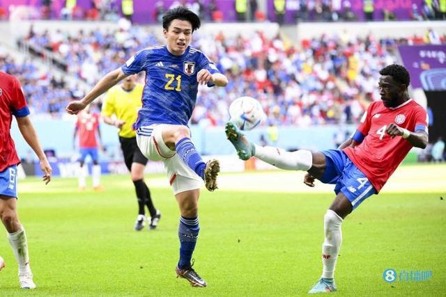 迷和媒体的 迷和媒体的