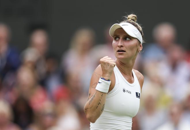 骑士坐镇主 骑士坐镇主