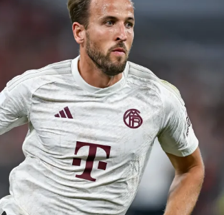 在内线训练 在内线训练